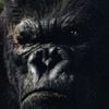 Foto King Kong