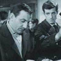 Foto Como Fera Encurralada