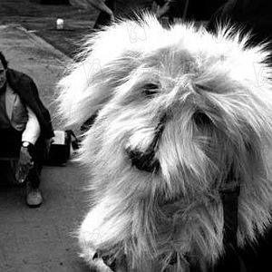 Foto Benoît Delépine