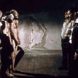 Foto Crônica de uma Fuga