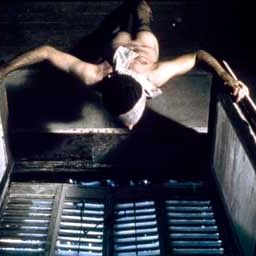 Foto Crônica de uma Fuga