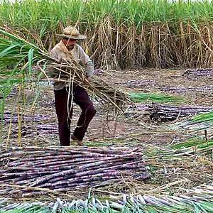 Foto Hamaca paraguaya