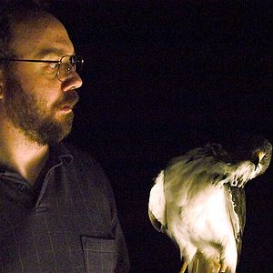 Foto The Hawk Is Dying