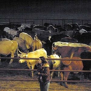 Foto Nação Fast Food