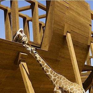 Foto A Volta do Todo Poderoso