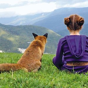 Foto Le renard et l'enfant