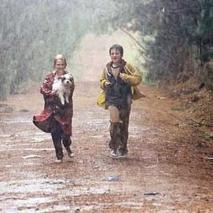 Foto Ponte para Terabítia