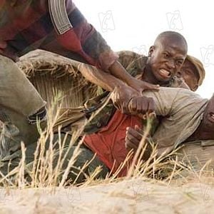 Foto Diamante de Sangue