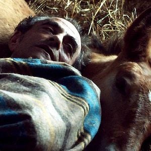 Foto Richard Bohringer