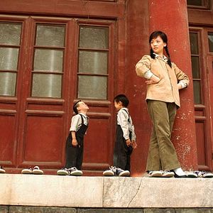 Foto Pequenas Flores Vermelhas