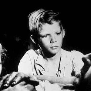 Foto Brinquedo Proibido