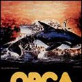 Foto Orca - A Baleia Assassina