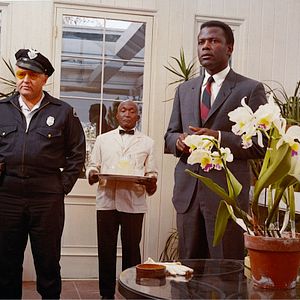 Foto No Calor da Noite