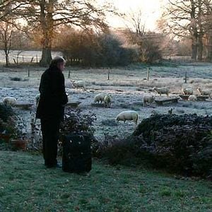 Foto Jean-François Stévenin