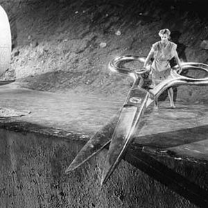 Foto O Incrível Homem que Encolheu