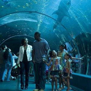 Foto Daddy's Little Girls