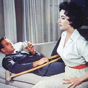 Foto Gata em Teto de Zinco Quente