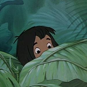 Foto Mogli - O Menino Lobo