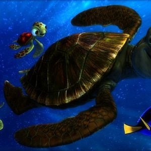 Foto Procurando Nemo