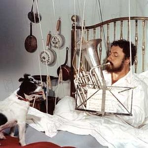 Foto Alexandre, o Felizardo