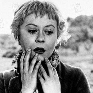 Foto A Estrada da Vida