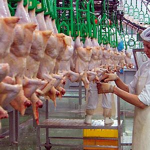 Foto Nikolaus Geyrhalter