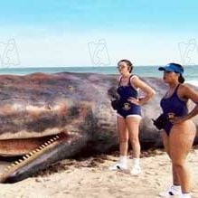 Foto Reno 911 Miami: O Filme