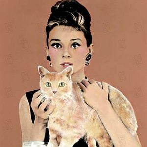 Foto Bonequinha de Luxo