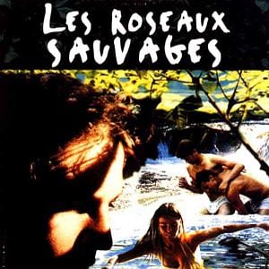 Foto Rosas Selvagens