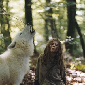 Foto Sobrevivendo com Lobos