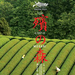 Foto Floresta dos Lamentos