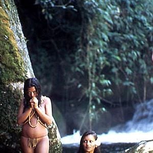 Foto A Floresta das Esmeraldas