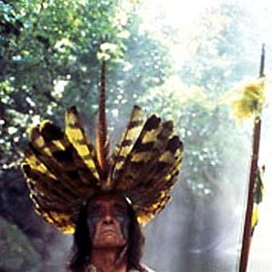 Foto A Floresta das Esmeraldas