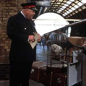 Foto Harry Potter e a Pedra Filosofal