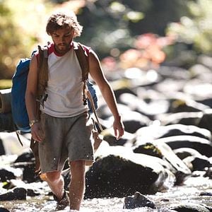 Foto Na Natureza Selvagem