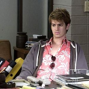 Foto Leões e Cordeiros