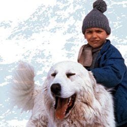 Foto Belle et Sébastien