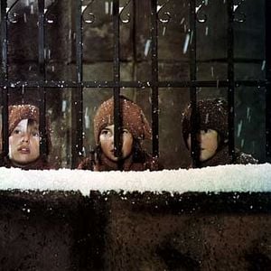 Foto A Flauta Mágica