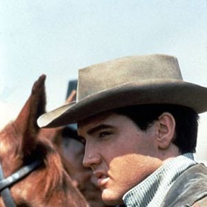 Foto Estrela de Fogo