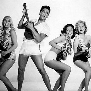 Foto Feitiço Havaiano