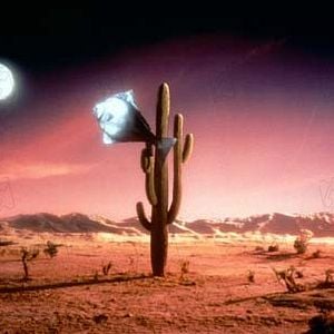 Foto Arizona Dream - Um Sonho Americano