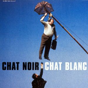 Foto Gata Preta, Gato Branco