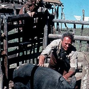 Foto Os Imperdoáveis