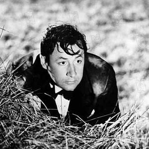 Foto A Farsa do Amor e da Guerra