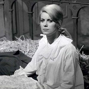 Foto A Farsa do Amor e da Guerra