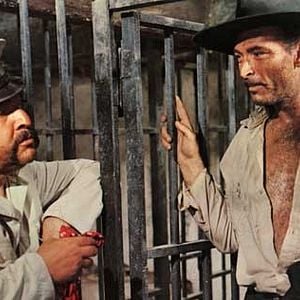 Foto O Dia da Desforra