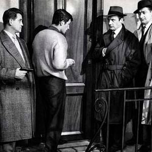 Foto Como Fera Encurralada