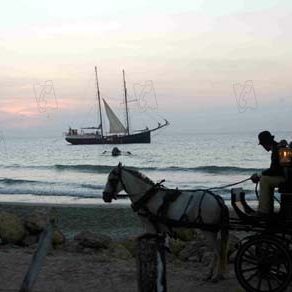 Foto O Amor nos Tempos do Cólera