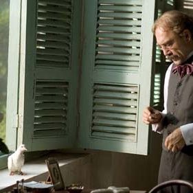 Foto O Amor nos Tempos do Cólera