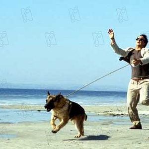 Foto K-9 - Um Policial Bom pra Cachorro